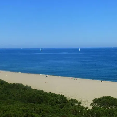 Le Belvédère - T2 En Front De Appartement *